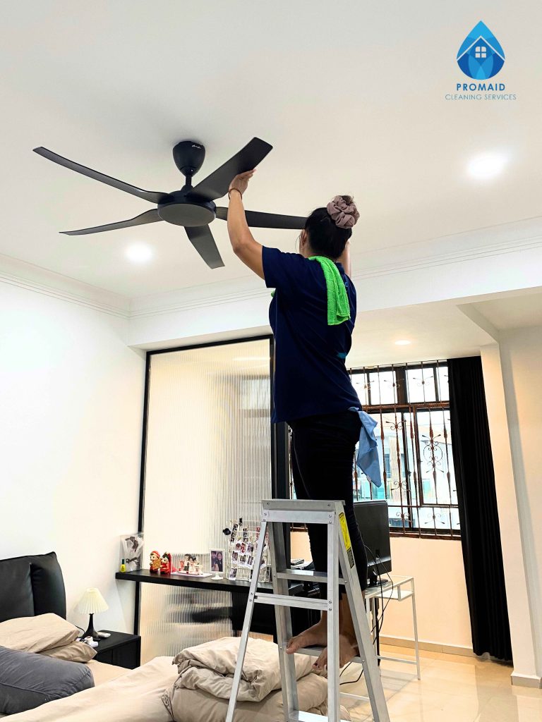 Deep Cleaning (6)