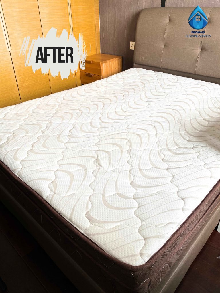 Mattress Cleaning (4)